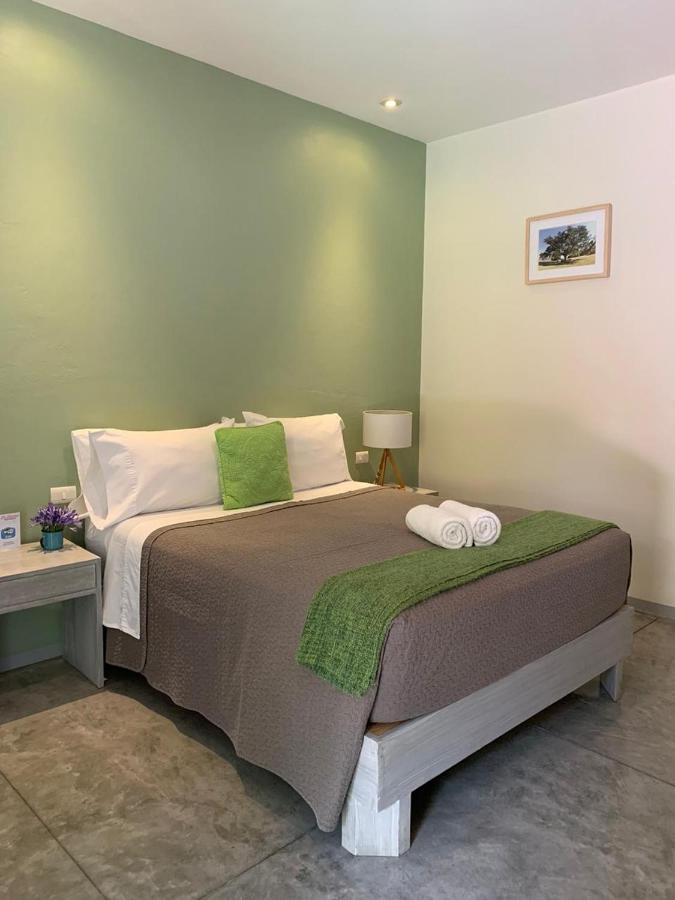 La Betulia Bed And Breakfast Oaxaca Ngoại thất bức ảnh