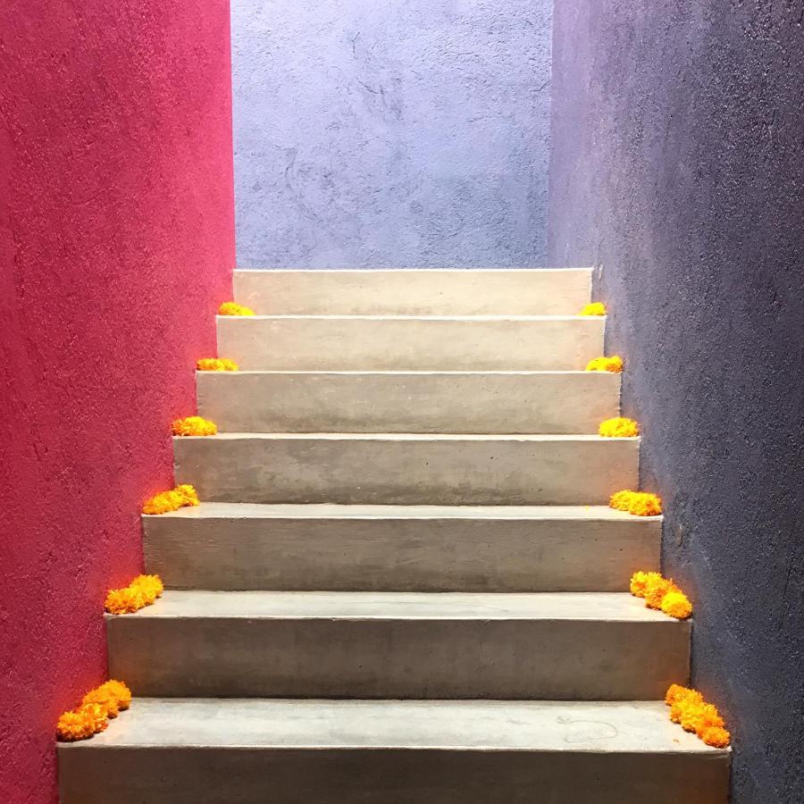 La Betulia Bed And Breakfast Oaxaca Ngoại thất bức ảnh