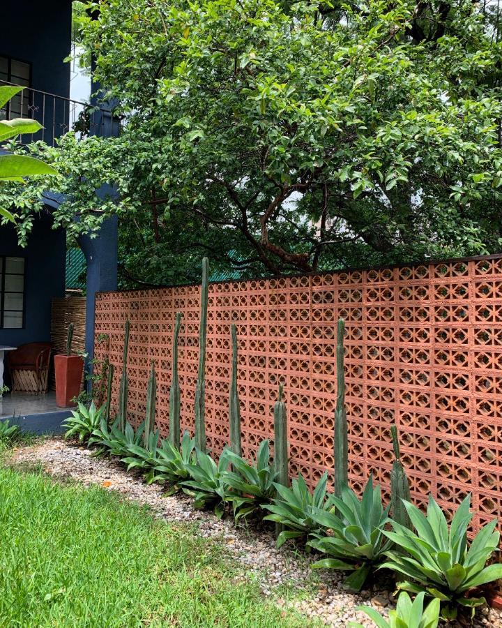 La Betulia Bed And Breakfast Oaxaca Ngoại thất bức ảnh