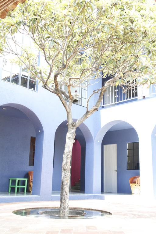 La Betulia Bed And Breakfast Oaxaca Phòng bức ảnh